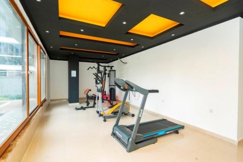 آپارتمان در  Kestel ، ترکیه 180 متر مربع.  شماره 209981 - 24