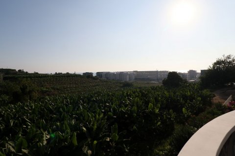 Villa  i Kargicak, Alanya, Antalya, Tyrkia Nr. 208086 - 29