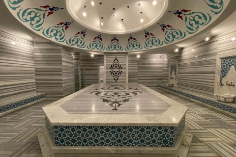 Wohnung  in Kargicak, Alanya, Antalya, Türkei Nr. 208337 - 15