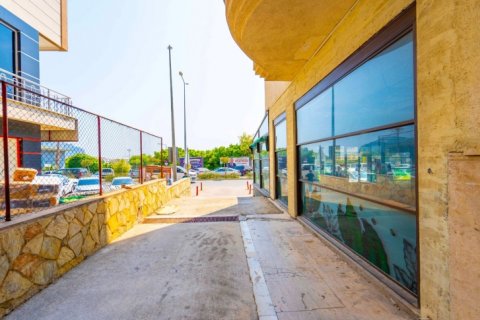 Продажа квартиры  в Аланье, Анталье, Турция, 320м2, №193023 – фото 25