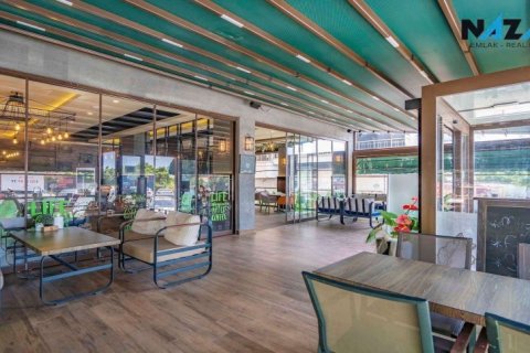 Продажа квартиры  в Аланье, Анталье, Турция, 320м2, №193023 – фото 14