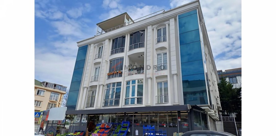 Квартира 6+1 в Бююкчекмедже, Стамбул, Турция №193028