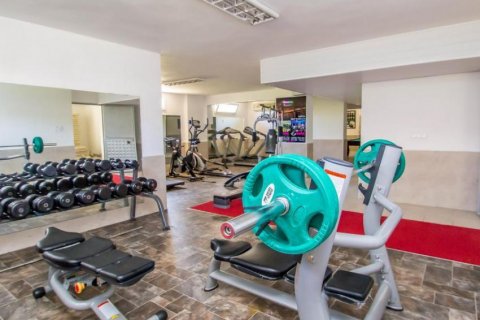 Продажа пентхауса  в Джикджилли, Анталье, Турция 4 комн., 170м2, №207161 – фото 25