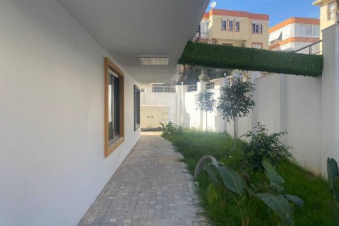 Wohnung  in Alanya, Antalya, Türkei Nr. 207159 - 8