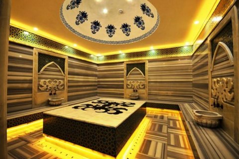 Wohnung  in Alanya, Antalya, Türkei Nr. 209434 - 9