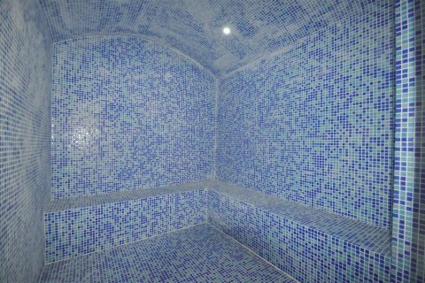 Wohnung  in Alanya, Antalya, Türkei Nr. 209436 - 24