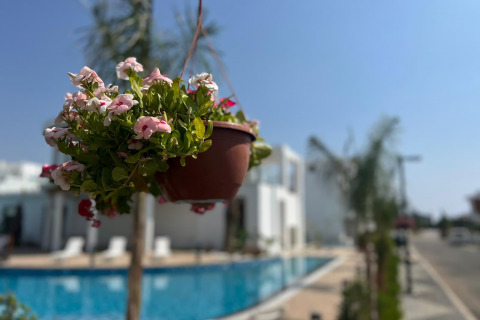 Apartment for sale  in Famagusta, Northern Cyprus, 87m2, No. 211088 – photo 17