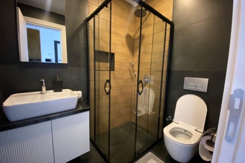 آپارتمان در  Alanya ، ترکیه 130 متر مربع.  شماره 207151 - 17