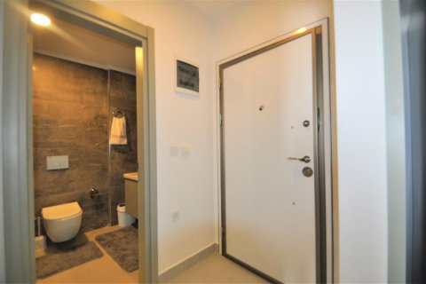 Продажа квартиры в Кестеле, Анталье, Турция 2 комн., 65м2, №209451 – фото 14