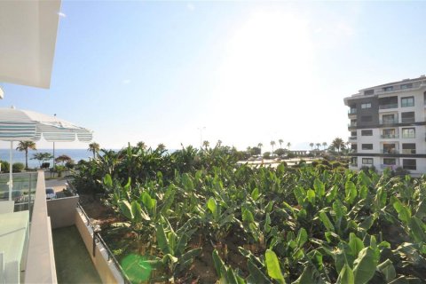 Продажа квартиры в Кестеле, Анталье, Турция 2 комн., 65м2, №209451 – фото 19