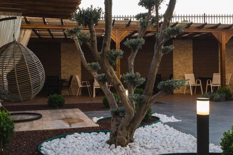 Wohnung  in Kestel, Antalya, Türkei Nr. 209454 - 17