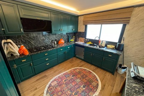 ویلا در  Alanya ، ترکیه 300 متر مربع.  شماره 207109 - 9