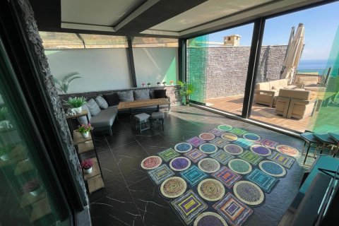 ویلا در  Alanya ، ترکیه 300 متر مربع.  شماره 207109 - 30