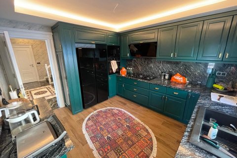 ویلا در  Alanya ، ترکیه 300 متر مربع.  شماره 207109 - 10