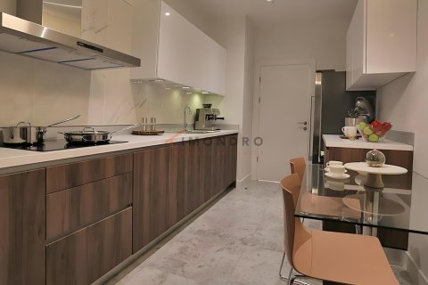 Продажа квартиры  в Башакшехире, Стамбуле, Турция 4+1, 247м2, №152758 – фото 16