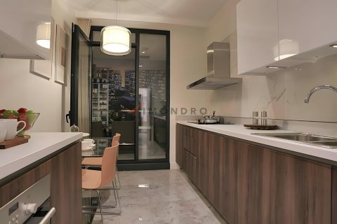 3+1 Lägenhet  i Basaksehir, Istanbul, istanbul, Turkiet Nr. 152757 - 15