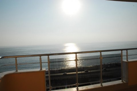 آپارتمان در  Mahmutlar ، ترکیه 230 متر مربع.  شماره 209599 - 23