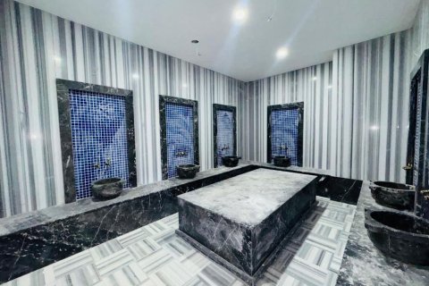 Wohnung in Avsallar, Antalya, Türkei Nr. 206917 - 8