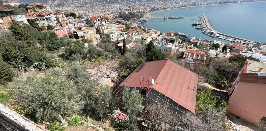 Land  in Alanya, Antalya, Türkei Nr. 207280