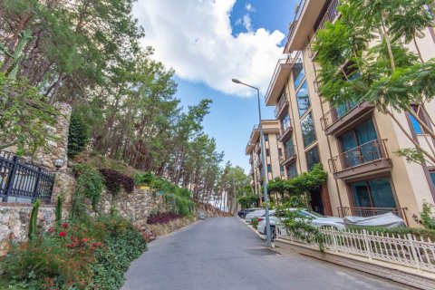 Penthouse  i Kargicak, Alanya, Antalya, Tyrkiet Nr. 206971 - 8