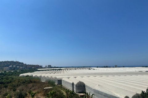 Продажа квартиры  в Демирташе, Аланье, Анталье, Турция 2 комн., 55м2, №206972 – фото 20