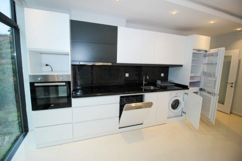 آپارتمان در  Kestel ، ترکیه 95 متر مربع.  شماره 208686 - 18