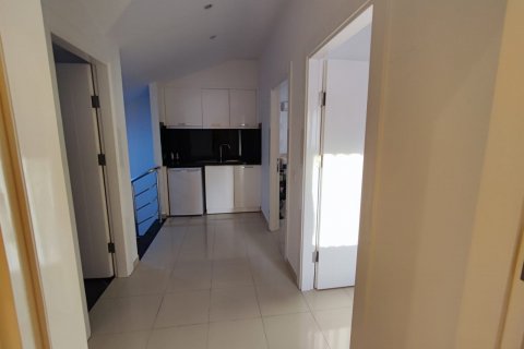 Penthäuser  in Alanya, Antalya, Türkei Nr. 207004 - 16