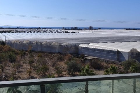 1+1 Lejlighed  i Antalya, Tyrkiet Nr. 184545 - 10