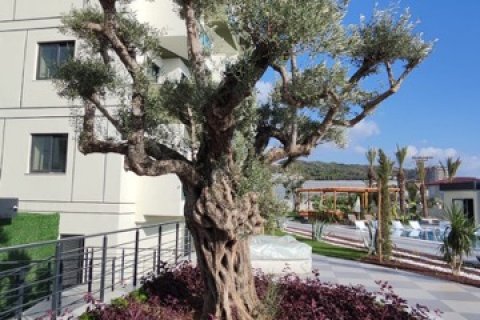 1+1 Lejlighed  i Antalya, Tyrkiet Nr. 184545 - 30