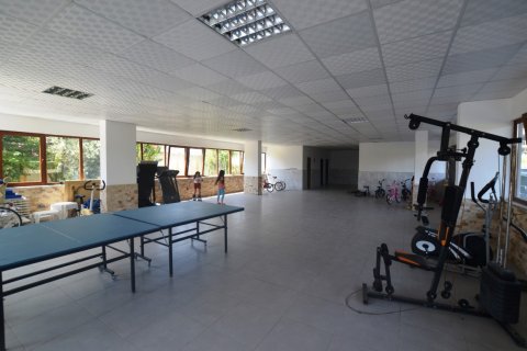 Leilighet  i Kestel, Antalya, Tyrkia Nr. 207992 - 4