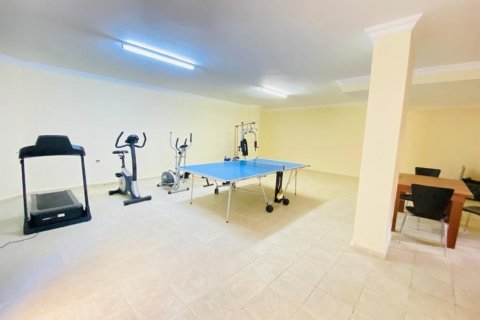 پنت هاس در  Oba ، ترکیه 200 متر مربع.  شماره 207994 - 21