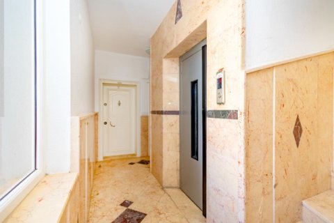 Daire  1+1  Antalya, Türkiye №184732 - 22