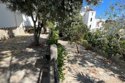 Wohnung  in Cikcilli, Antalya, Türkei Nr. 207748 - 13