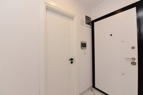 Продажа квартиры  в Аланье, Анталье, Турция 1+1, 50м2, №210534 – фото 9