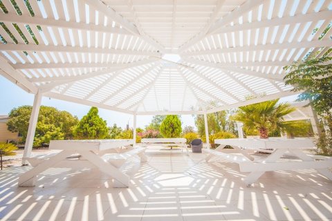 Leilighet  i Famagusta,  Nr. 210536 - 21