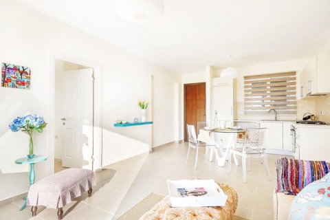 Daire   Bafra, Samsun, Türkiye №210539 - 1