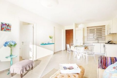 Daire   Bafra, Samsun, Türkiye №210539 - 21