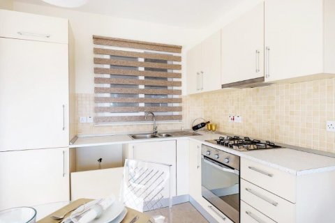 Daire   Bafra, Samsun, Türkiye №210539 - 8