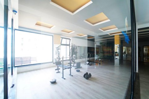 آپارتمان در  Kestel ، ترکیه 165 متر مربع.  شماره 209469 - 20