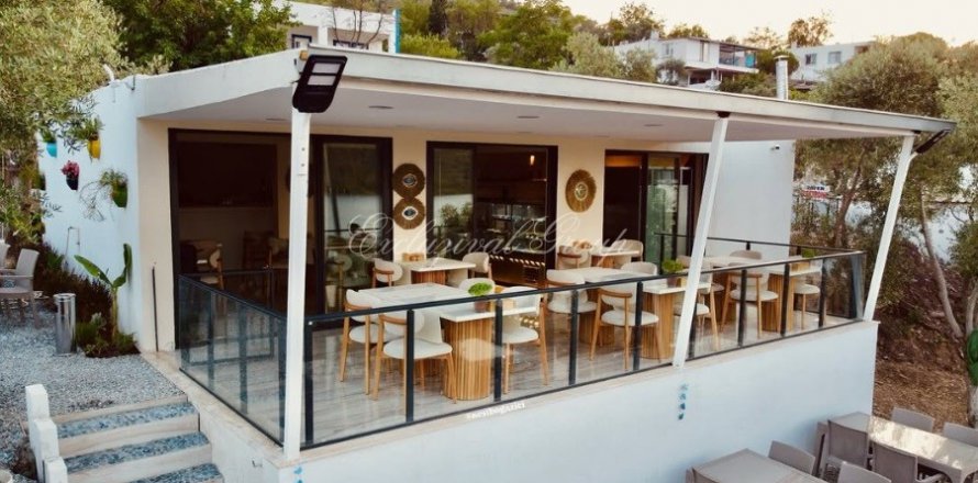 Cafe / restaurant  in Bodrum, Mugla, Türkei Nr. 210516