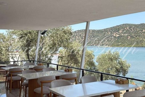 Cafe / restaurant  in Bodrum, Mugla, Türkei Nr. 210516 - 3