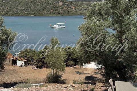 Cafe / restaurant  in Bodrum, Mugla, Türkei Nr. 210516 - 5