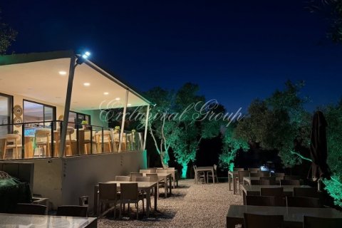 Cafe / restaurant  in Bodrum, Mugla, Türkei Nr. 210516 - 4