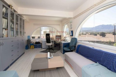 5+0 Villa i Girne, Nr. 192787 - 13