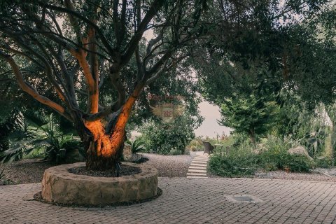 Продажа виллы  в Гирне, Северный Кипр 4+1, 492м2, №192788 – фото 27