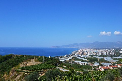 Lejlighed  i Alanya, Antalya, Tyrkiet Nr. 209533 - 14