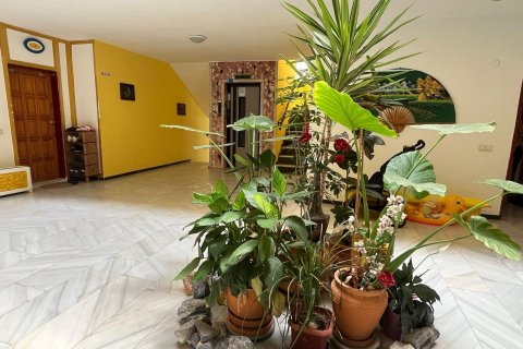 Lejlighed  i Oba, Antalya, Tyrkiet Nr. 208145 - 6