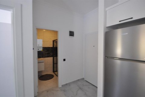 Продажа квартиры  в Авсалларе, Анталье, Турция 2 комн., 46м2, №208140 – фото 9