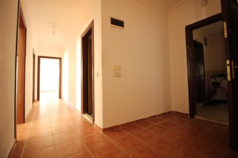 Продажа квартиры  в Аланье, Анталье, Турция 3 комн., 110м2, №207026 – фото 5