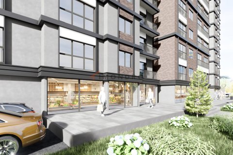 1+1 Leilighet  i Istanbul, Tyrkia Nr. 210237 - 6